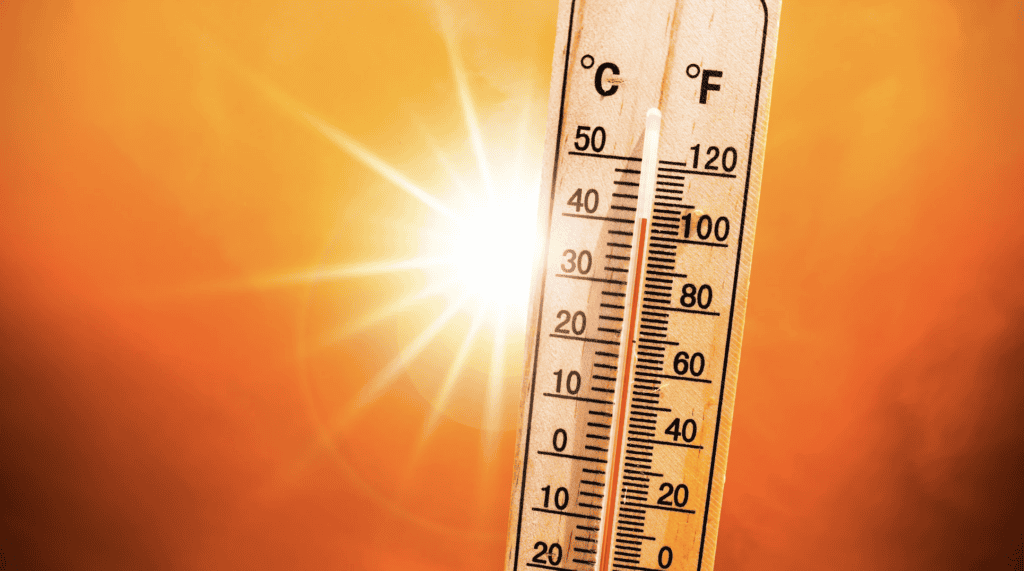 chaleur météo