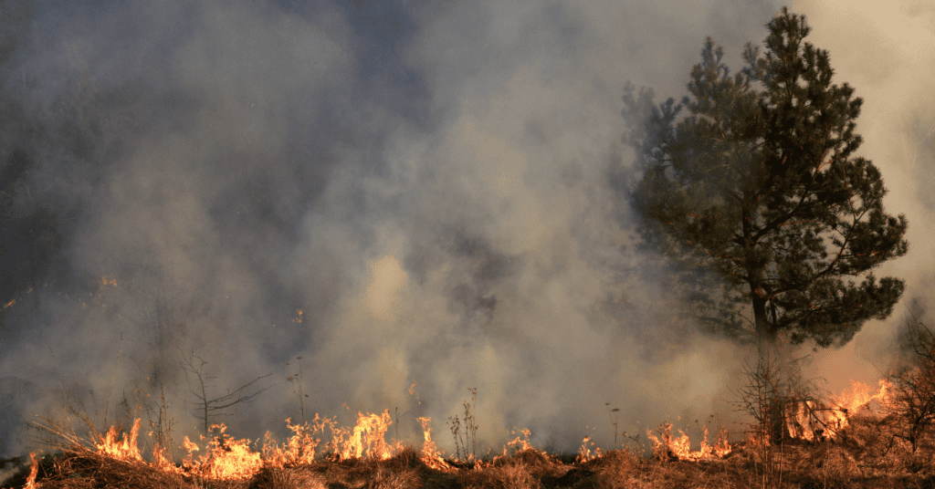 Hérault : les massifs de Montpellier placés en vigilance orange ce mercredi 3 juillet