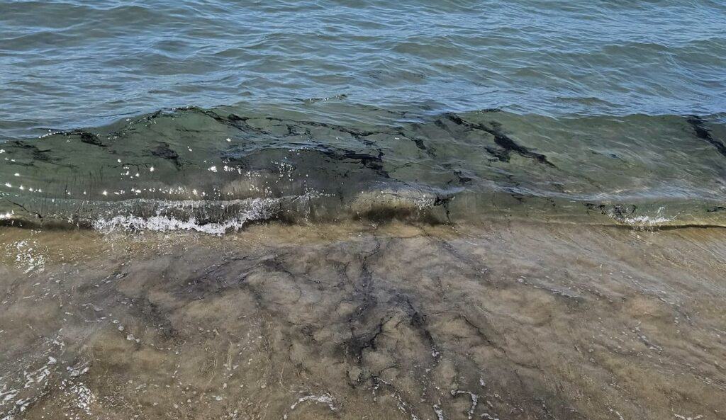 Pollution sur le littoral du Grau-du-Roi : la préfecture du Gard fait le point
