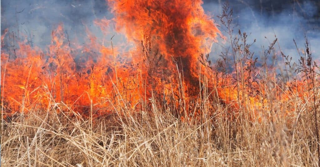 incendie météo