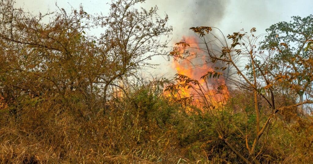 Incendie / Feu
