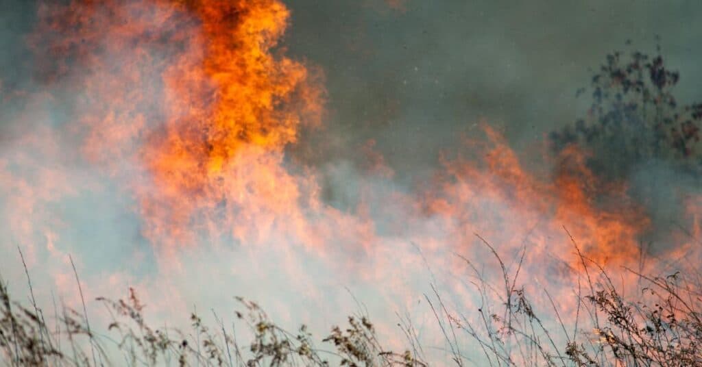 Hérault : risque d’incendie toujours élevé dans le sud du département