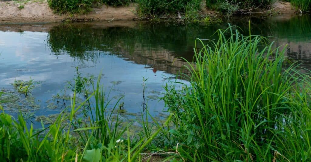Hérault : ressource en eau, entre amélioration et crise