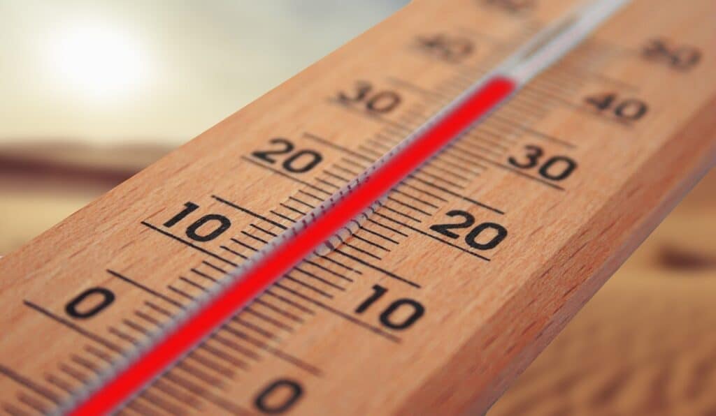 chaleur météo