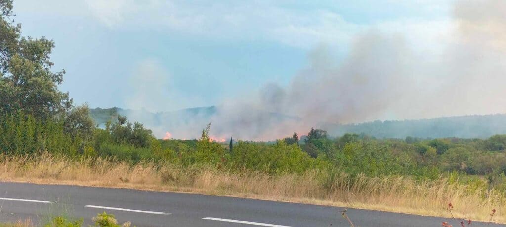 Hérault : à Aniane, un incendie ravage 6 hectares de végétation