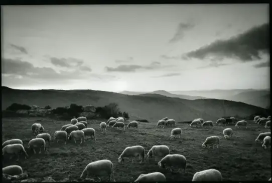 Hérault : exposition « Horizons » à Lunel, des oeuvres qui font voyager