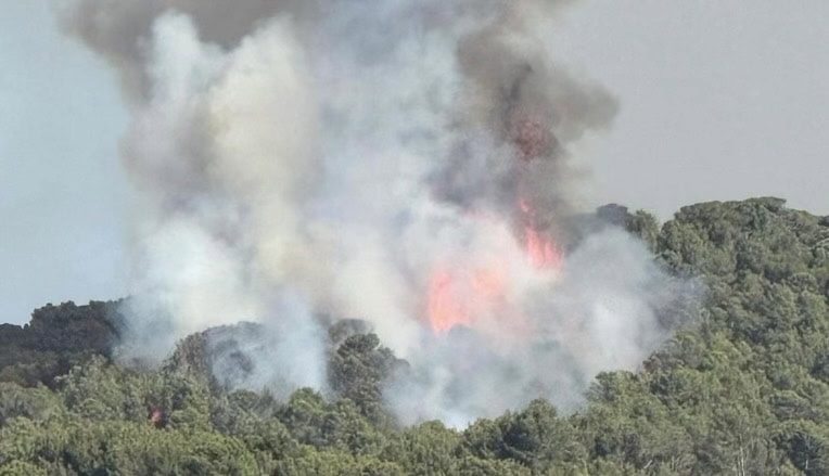 Aude : un important feu de forêt se déclare dans une pinède
