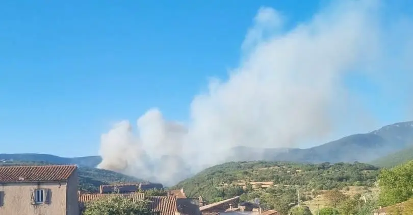 Hérault : des centaines d’hectares de végétation menacées, un important feu se déclare dans un massif