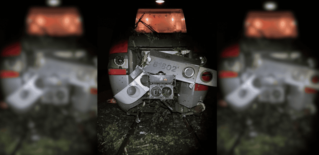 Gard : le train Nîmes – Génolhac percute violemment un arbre en pleine voie