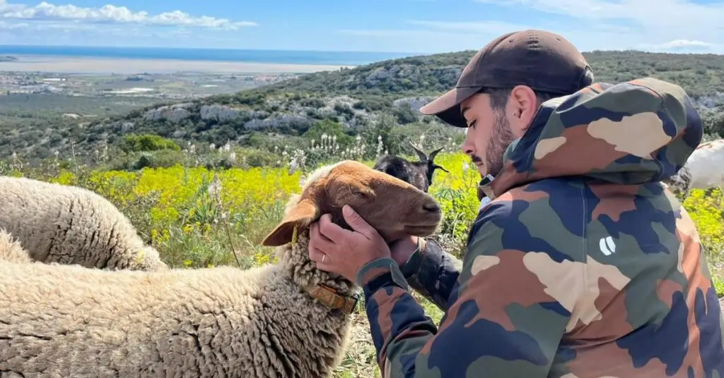 Hérault : dans sa ferme à Gigean, Ricardo vient en aide à des animaux maltraités et à des jeunes au passé difficile