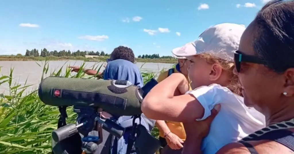 Pays de Lunel : dernière sortie nature « Roselière & Sansouire » en Petite Camargue