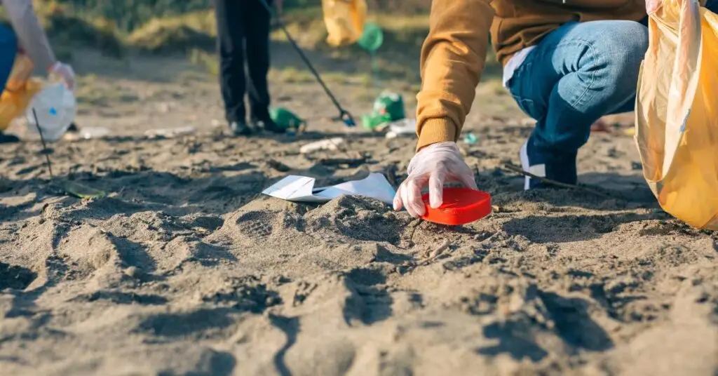 Perpignan : une matinée de nettoyage berges de la Têt prévue lors du World Cleanup Day