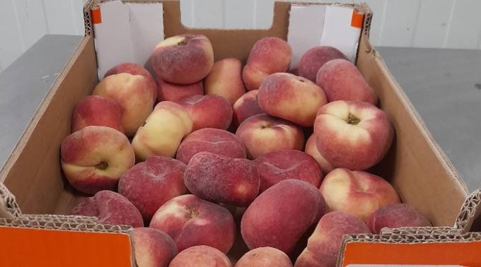 Conso : des pêches plates rappelées dans 4 départements français