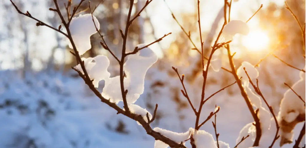 Météo : vent fort, baisse des températures et flocons de neige en Occitanie ces prochains jours