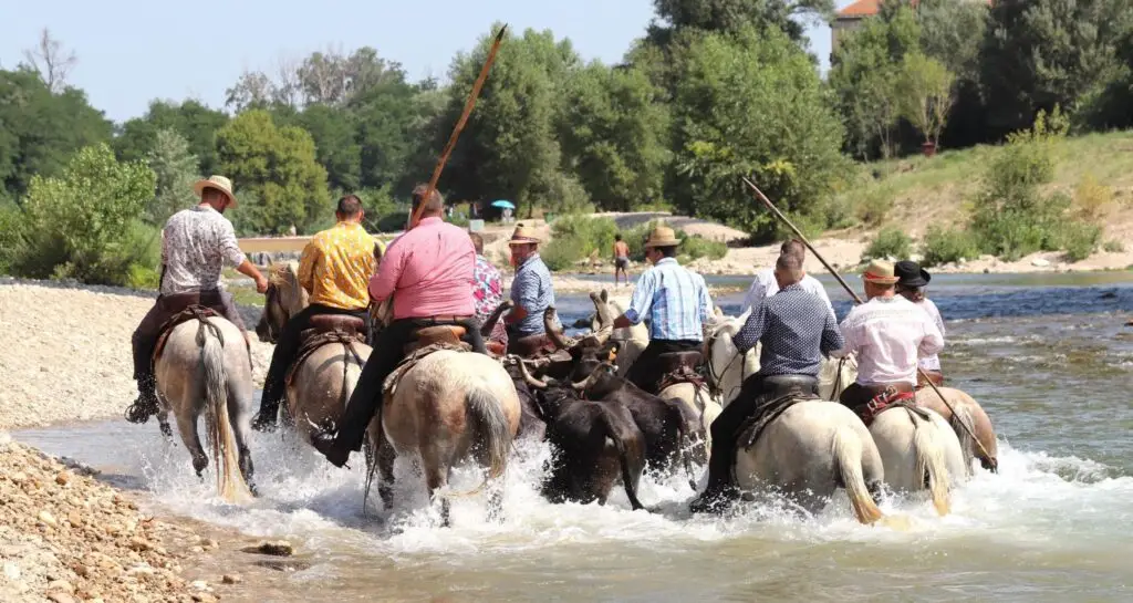 Fête Saint-Maurice