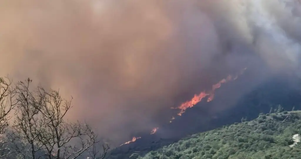 Feu Camelas Pyrénées-Orientales