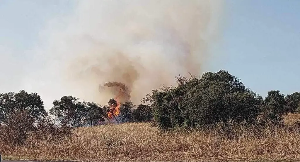 Incendie dans l'Héraut, au Nord de Pézenas. Photo : Kazaa Infos Radars.