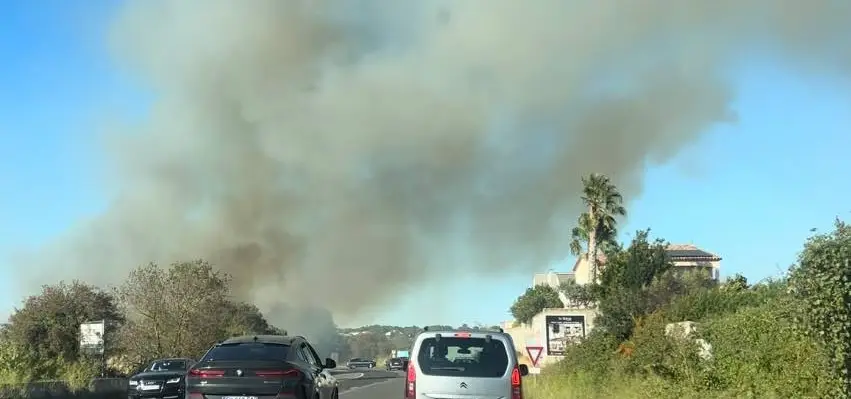 Bassin de Thau : un feu de végétation se déclare à proximité d’un camping