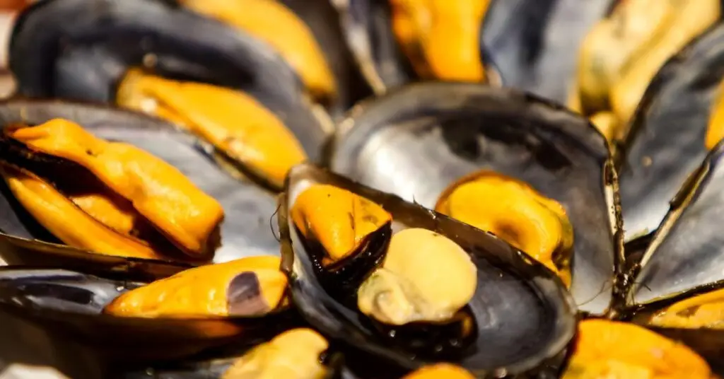 Conso : dates de consommation erronées, bactéries, des moules rappelées partout en France