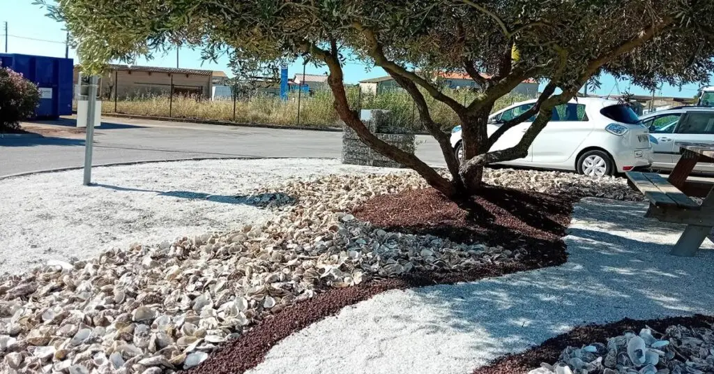 Hérault : les coquilles d’huîtres s’offrent une seconde vie à Sète