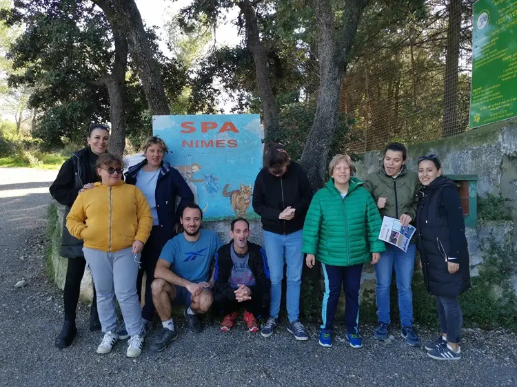 Nîmes : les personnes en situation de handicap à la rencontre des chats de la SPA