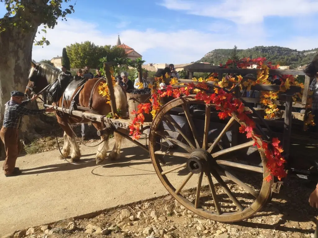 Gard : les Vendanges de l’histoire à Chusclan, entre traditions et famille
