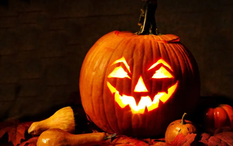 Nîmes : embarquez à bord du petit train pour Halloween