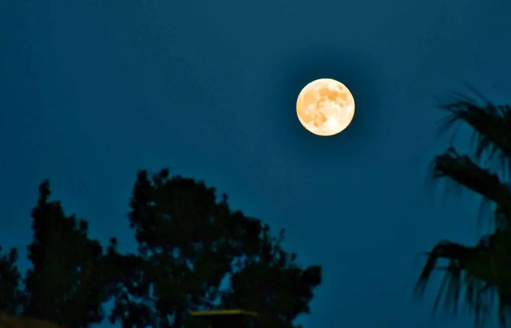 Gard : les fabuleux clichés de la super Lune du castor observée à Aimargues