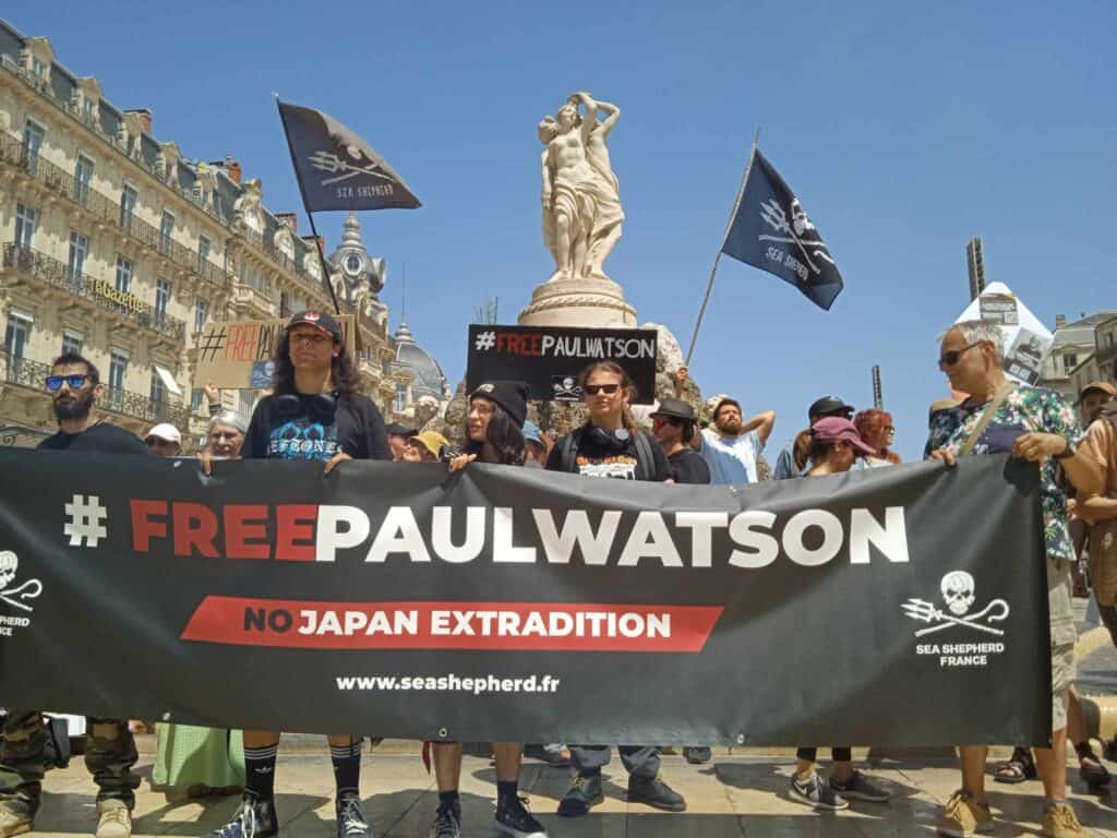 Montpellier : mobilisation en faveur de Paul Watson ce samedi 9 novembre