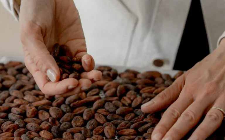 Montpellier : franc succès pour les produits chocolatés ŌME