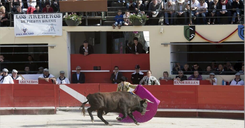 corrida