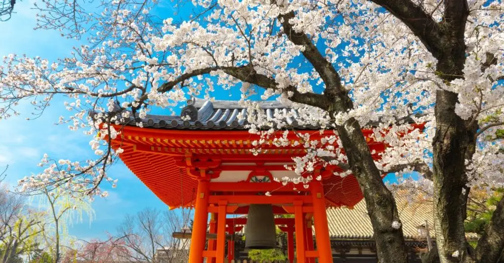 Gard : le Japon s’invite en terre gardoise
