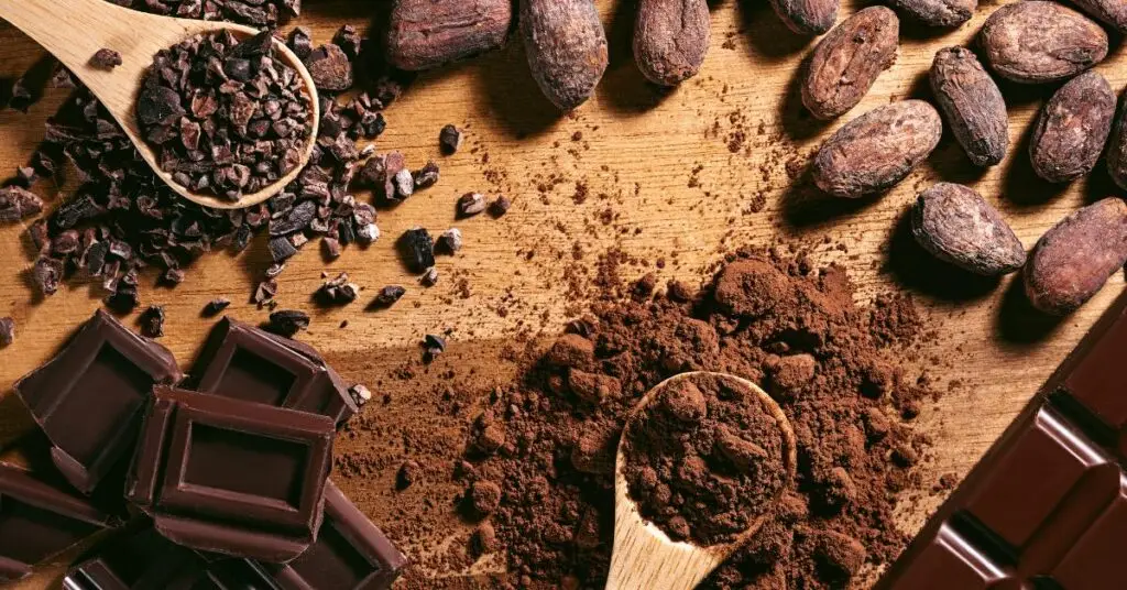 Hérault : le chocolat sous toutes ses formes à Agde