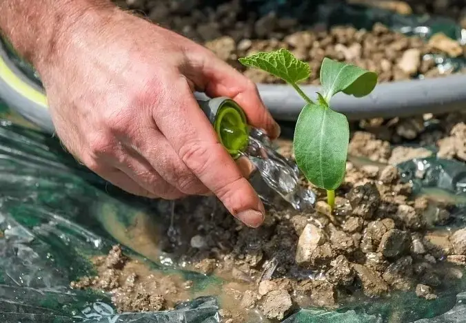 Occitanie : sècheresse, une étude pour sécuriser l’accès à l’eau sur le littoral