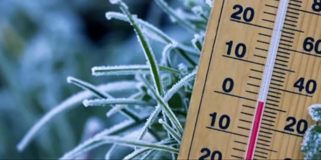 froid météo