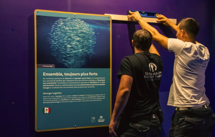 Gard : découvrir la « Grandeur inestimée » des poissons bleus au Seaquarium du Grau-du-Roi