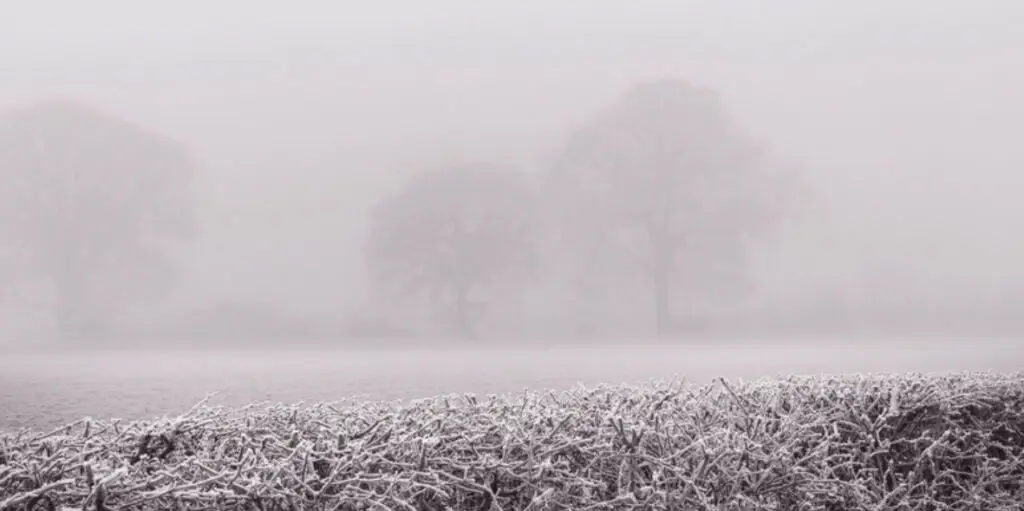 gelées météo