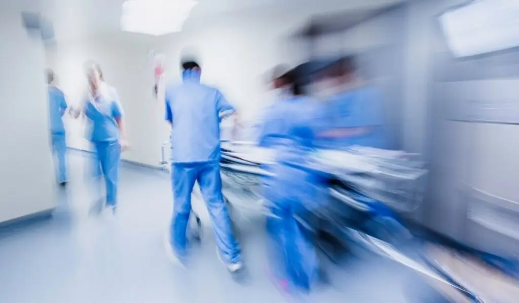 Grippe Aviaire : un patient atteint du H5N1 avec une mutation aux voies respiratoires humaines