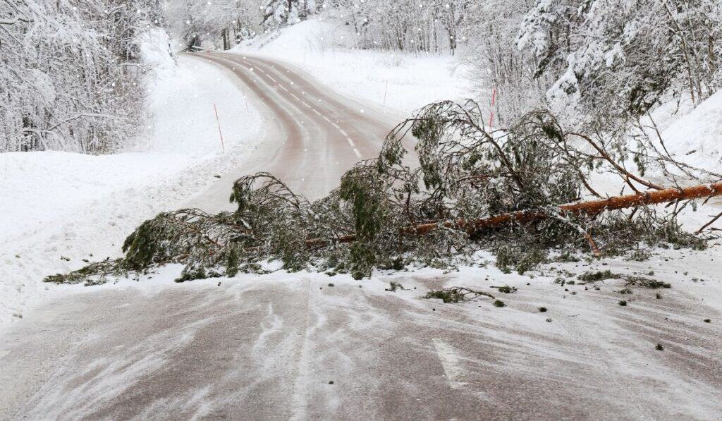 Météo : 5 départements de la région Occitanie en vigilance orange pour neige-verglas et vent violent