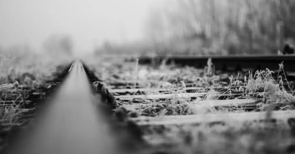 Occitanie : axe Toulouse – Pau, circulation des trains interrompue à cause du givre