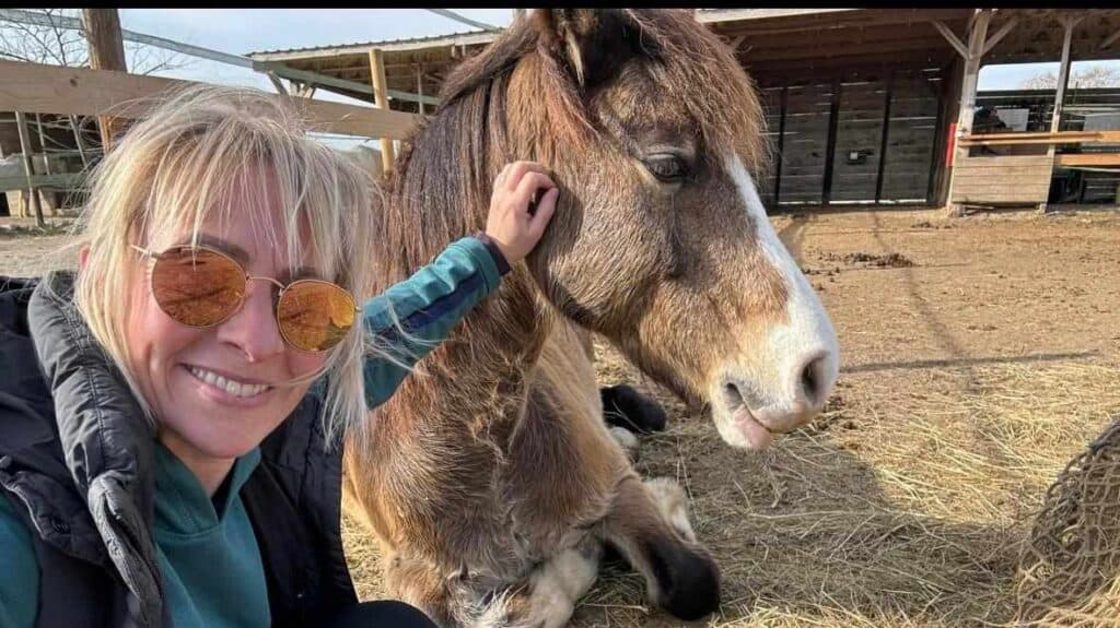 Hérault : « on a dû l’euthanasier ! », un poney empoisonné dans le massif de la Gardiole