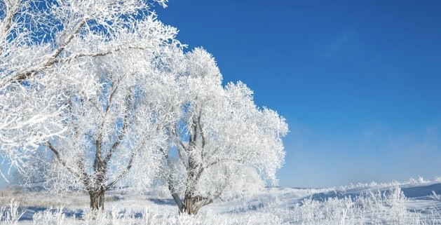 Gelées météo