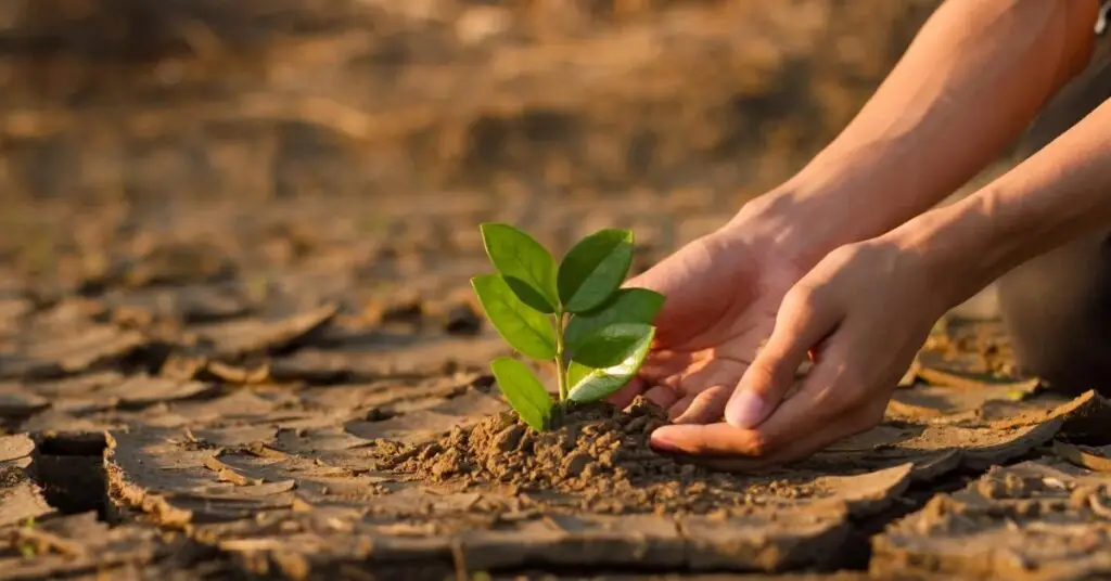 Gard : l’État accorde des dégrèvements aux agriculteurs victimes de sinistres climatiques