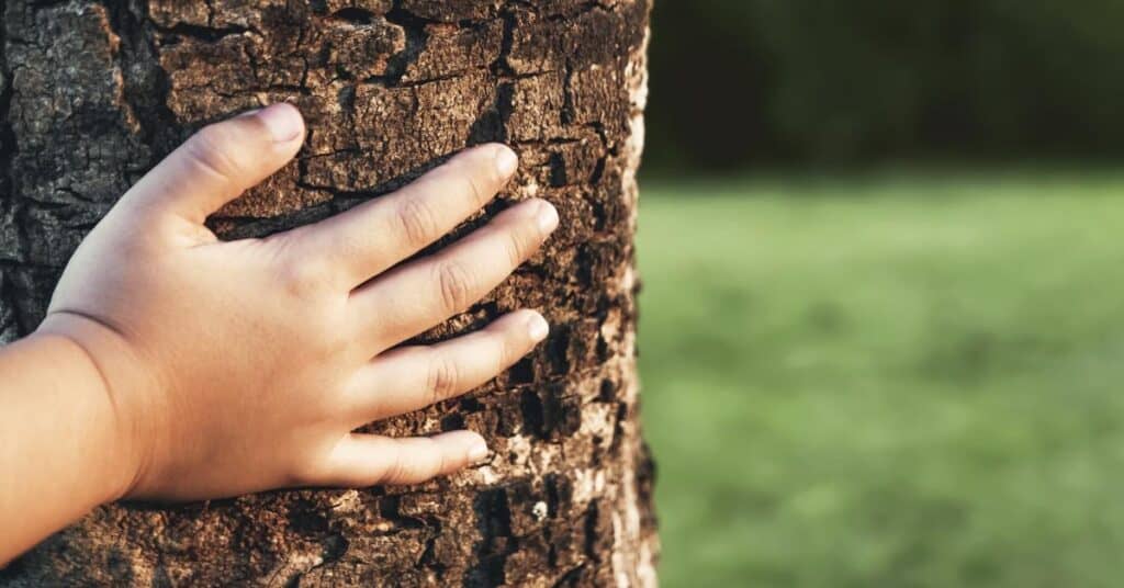 Toulouse : « 1 naissance 1 arbre », l’initiative écologique de la Ville