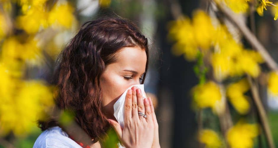 Gard : le département en alerte rouge pour le pollen
