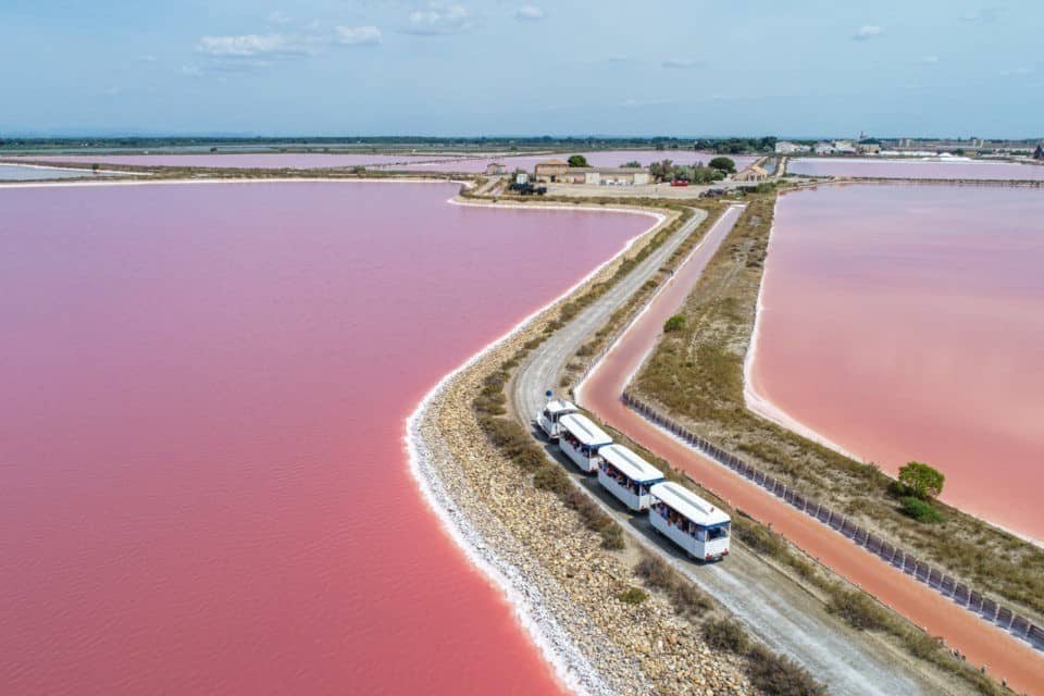 Camargue : la « Baleine en course » dans le décor des Salins