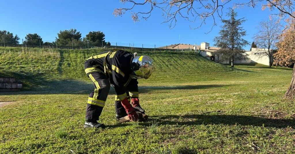 Montpellier : les sapeurs-pompiers viennent en aide à un rapace en détresse