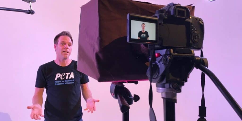 Montpellier décorée par PETA : Rémi Gaillard tacle une récompense absurde