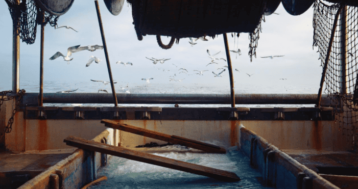 Aigues-Mortes : exposition, ‘Restons Vagues’, la mer comme source d’inspiration