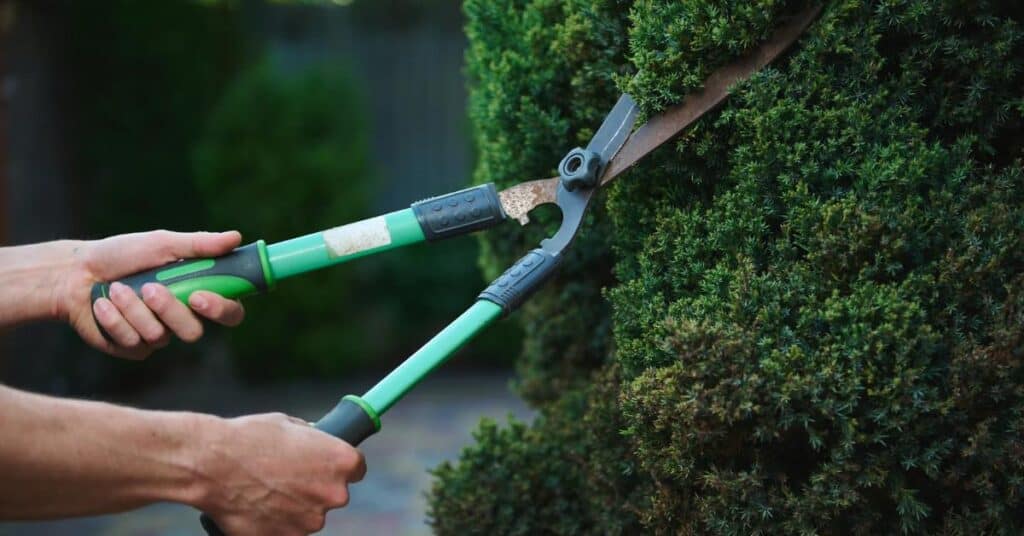 Gard : une matinée pour découvrir le métier de jardinier-paysagiste